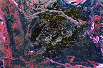 A 278C